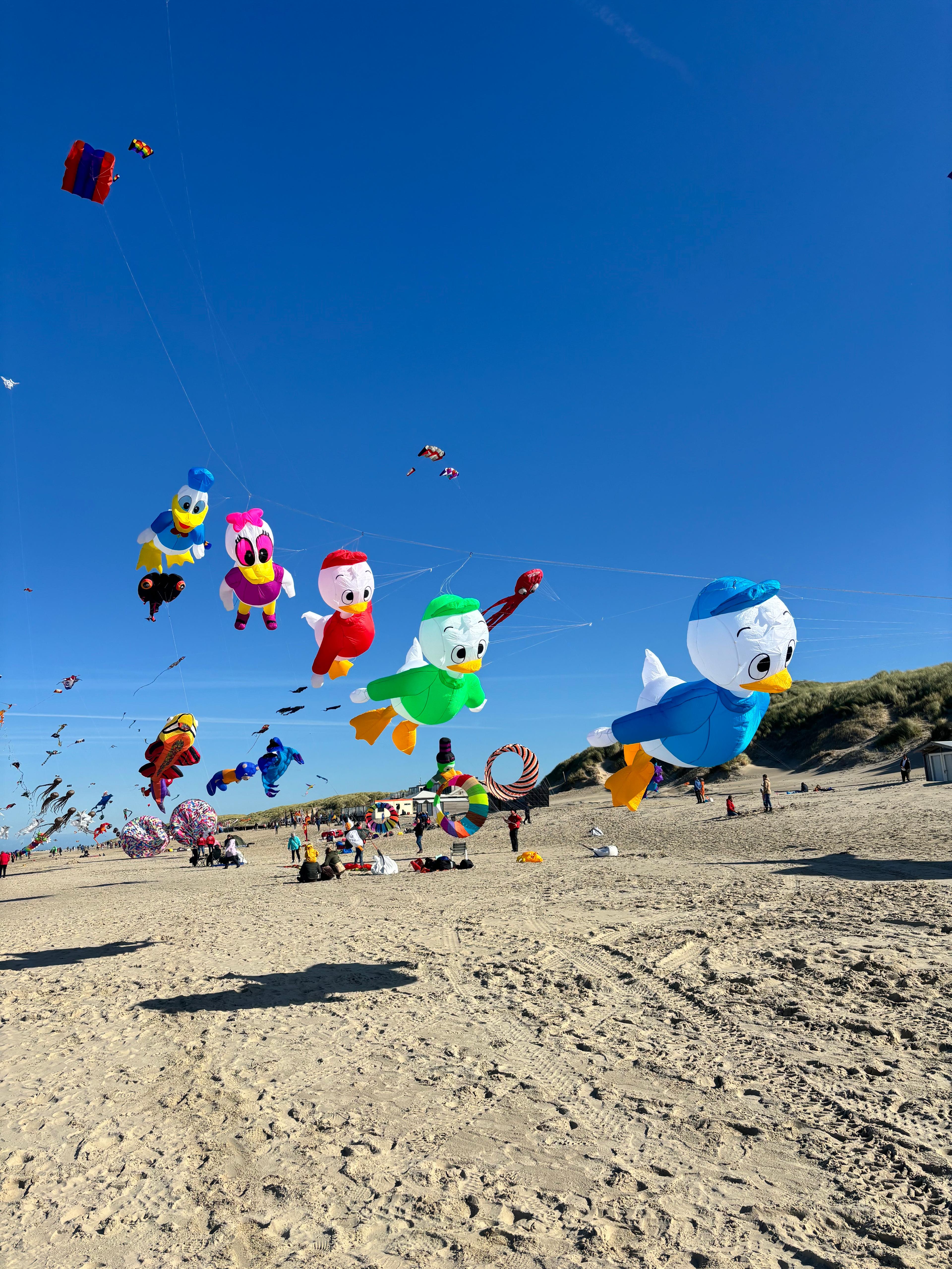Starke Leistungen in Berlin & Texel