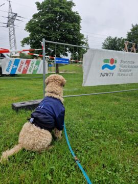 Kira beobachtet den Laufsplit der 98er